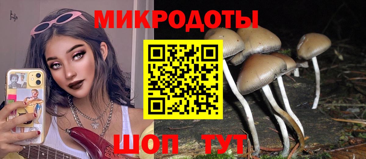 Новороссийск  Псилоцибиновые грибы прущие грибы  Вход с VPN 